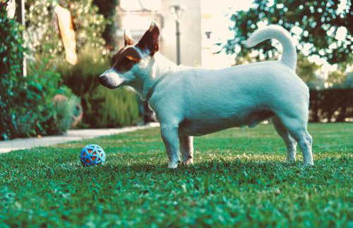 Tsertos Apartments - Foto 31