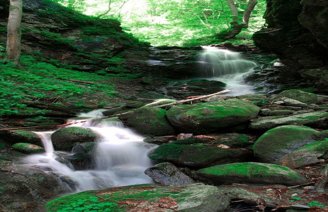 Farmhouse Near Afritzer See & Verditz Trails - Foto 12