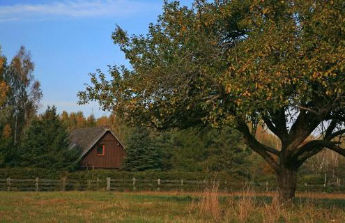 Uroczysko Teremiski - Foto 13