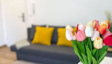 Modernisierte Ruheoase mit Parkplatz - Foto 2