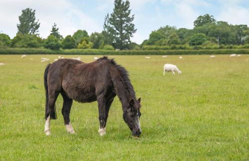 The Ash - Arnolds Hill - Foto 22