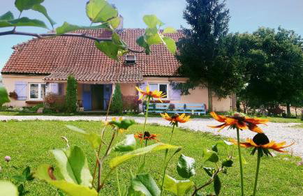 Folwark Malinowy Chruśniak - Foto 33