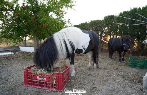 La Casa de Marieta "A" - Foto 35