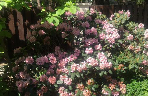 DOM 4 POKOJE Z BASENEM BLISKO WARSZAWY - Foto 32