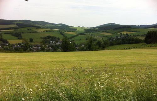 Haus Edelweiss Comfortable holiday residence - Foto 31