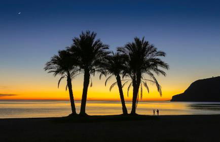 Luna Canela - Foto 21