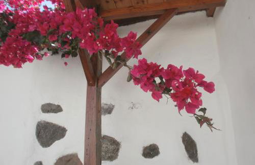 Finca las Palmeras - Foto 15