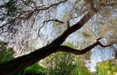 Exclusive Sardinian Villa 300 mt from the beach - Foto 26