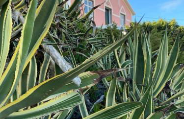 Cairnvillas - Le Maquis C34 Luxury Villa with Private Pool near Beach - Foto 57