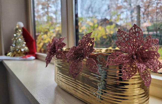 Detached House in Lanaken With Large Garden - Foto 24