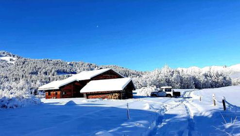 Chalet du Lay Côte 2000 ski in ski out - Foto 1