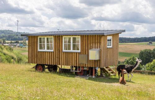 Tinyhouse Alpakawiese - Foto 1