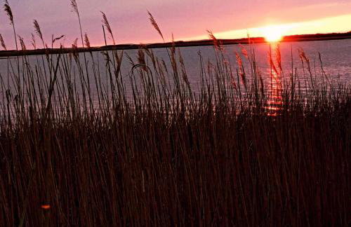 Apartament przy Lesie - Domki u Piotrusia - Foto 21