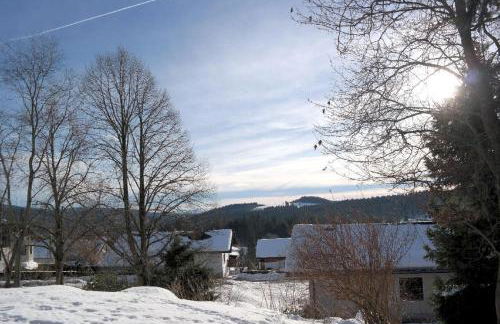 Ferienhaus Mauth - Photo 124