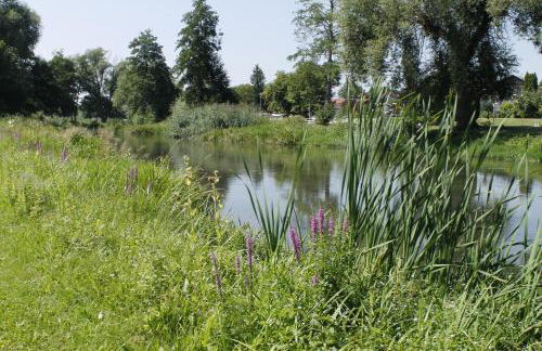 Haus Sabine - Foto 12