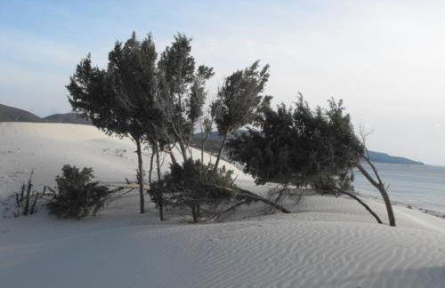 Casa S'Arriali - Foto 29