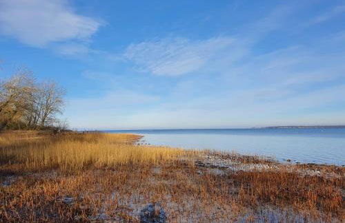 SeeStern Strandnahe Wohnung in Hohen Wieschendorf - Foto 44