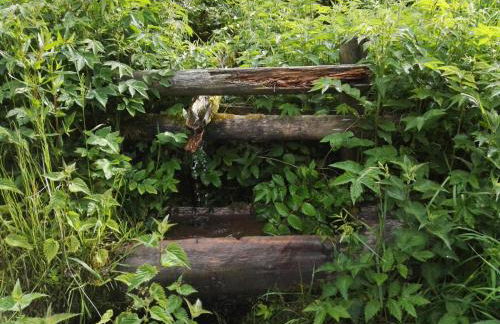 Ferienwohnung Waldblick Winterberg - Foto 13