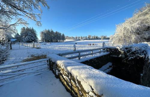 O'Hares Farmhouse - Foto 12