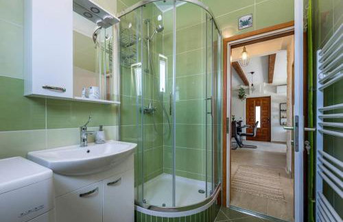 APARTMENT AMELIA VRPOLJE - Photo 25