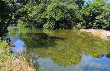 La Casa de la Miel - Foto 12