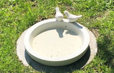 Ostseeferien in Barth; FeWo "Korls Hüsung" - Photo 9