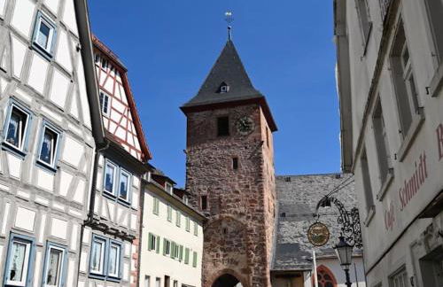 Altstadthäuschen mit charm , nähe Heidelberg castle, Neckarufer - Photo 38