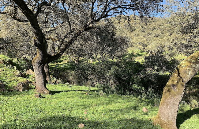 Casa Rural Sierra Tórtola 2 - Foto 72