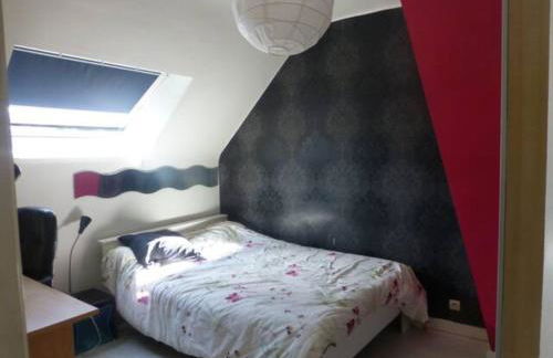 Maison confortable et jardin à Lille - Foto 5