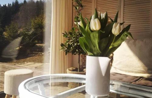 Skalny Zakątek z Grotą Solną na wyłączność - Foto 44