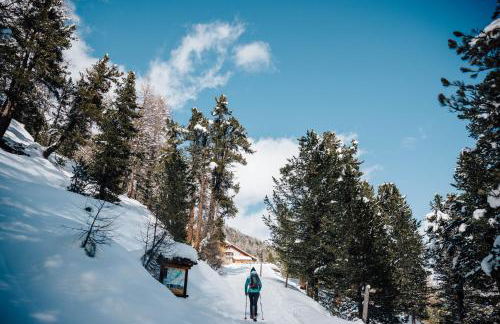 Residence Montani - Foto 15