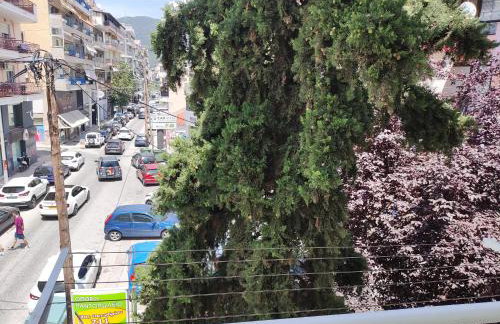 Άνετο διαμέρισμα στο κέντρο της πόλης - Foto 2