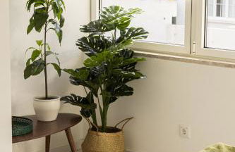 Contemporary Restelo Pool Haven - Photo 31