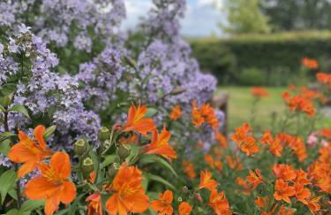 3 Bed in Outgate oc-gl018 - Foto 28