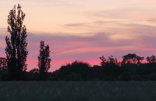 Dorfstübchen - Foto 16