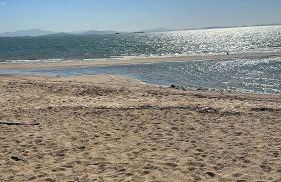 Apartamento frente mar palhoça - Photo 15