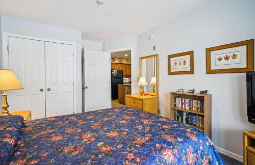 Charming 2-Bedroom Slopeside at Pico Mountain E304 - Foto 21