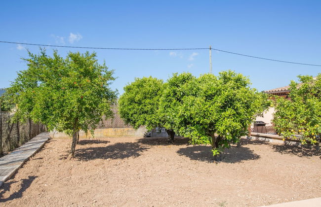 Shostalet in Montu ri - Foto 22