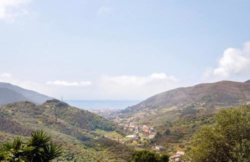 Green Cactus House - Foto 31