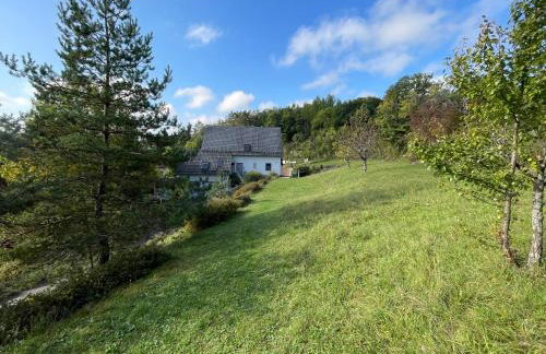 Ferienhaus am Dürrbachtal - Foto 80