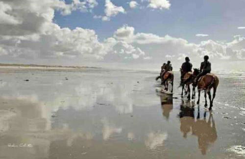 Studio DUNES de NALA avec balcon vue Dunes et latérale Mer pour 4 pers 100m plage wifi ménage compris - Foto 28