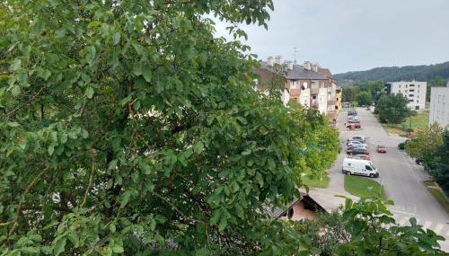 Apartman Buba - Foto 2