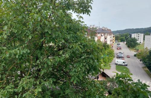 Apartman Buba - Foto 2