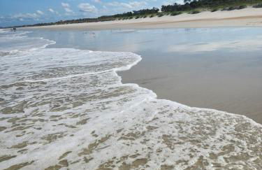 Relaxing Modern 3 BR Home - Queen Bd - North JAX - Foto 35