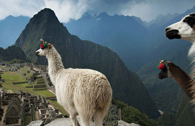 Machu Picchu Tour Package: 4 days - Foto 1