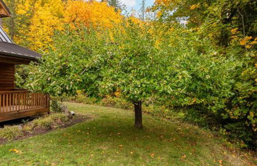 Custom Crafted Forest Retreat with Pond on 5 Acres - Photo 47