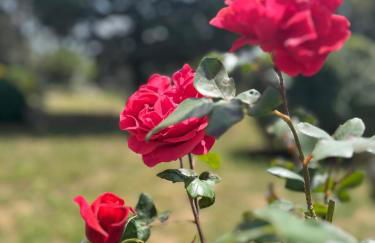 AgriBio Villa Ribes - Photo 15