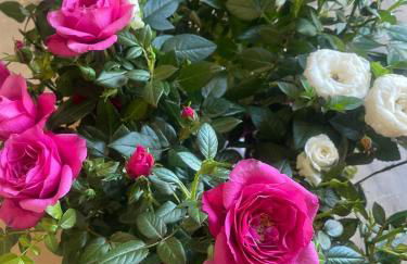 Rose e fiori - Foto 30