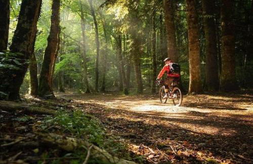 Dimora 4CavallucciMarini - Foto 38