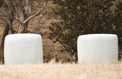 Brooklyn Farm Bed and Breakfast - Photo 10